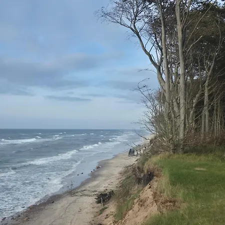 Modrzew Nad Morzem *