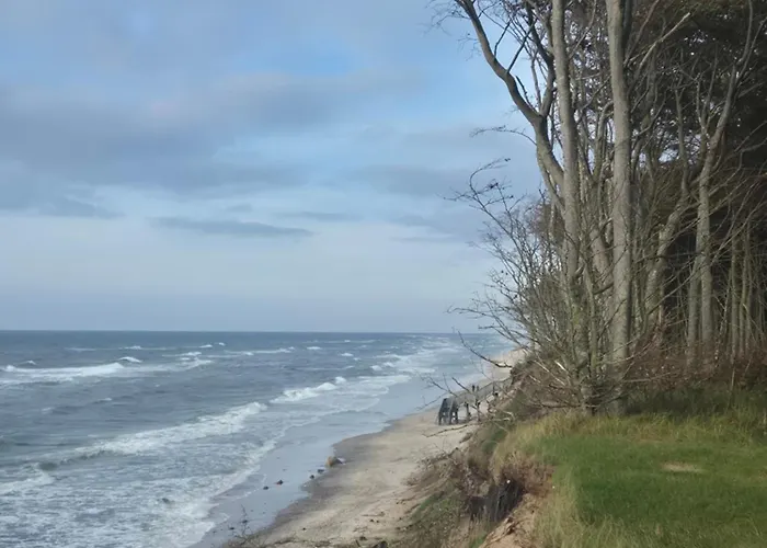 Modrzew Nad Morzem *